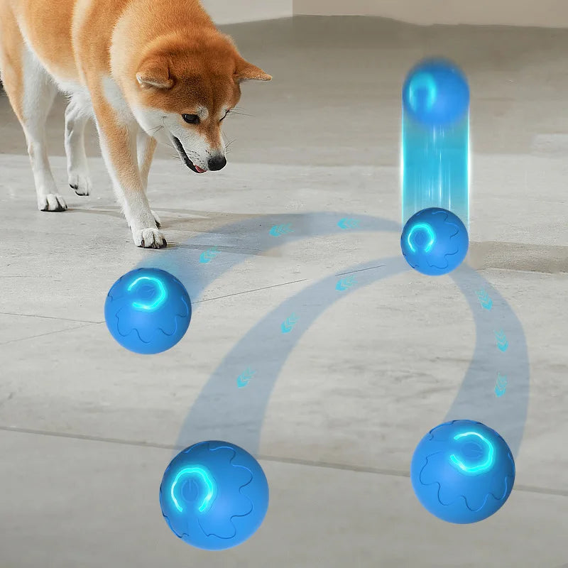 Automatic Moving Dog Ball